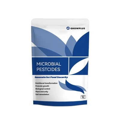 Bacillus Aryabhattai Megaterium