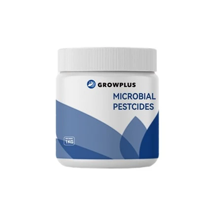 Soca de Paenibacillus Polymyxa